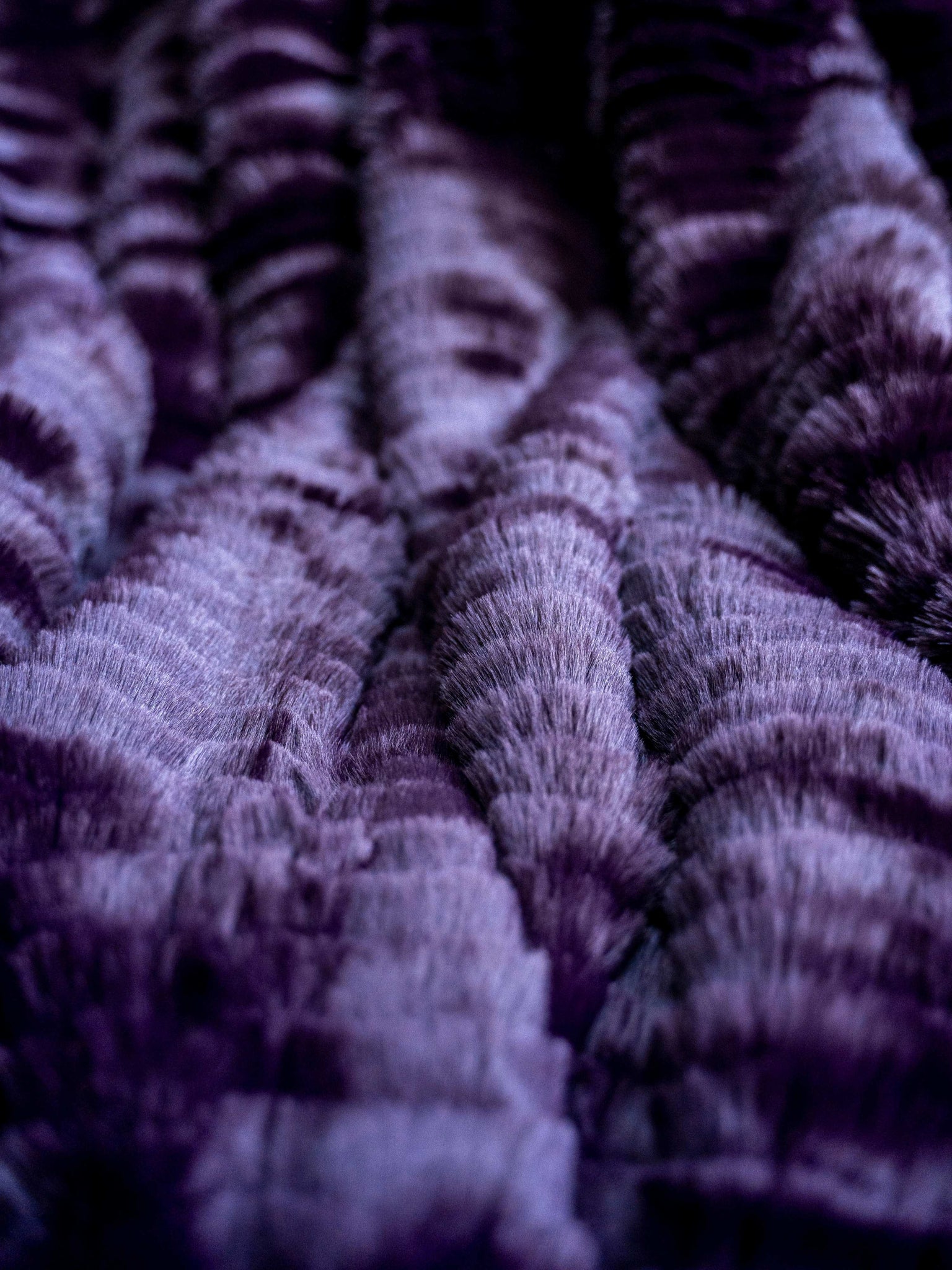 Plaid Fausse Fourrure Vague Prune thumbnail 5